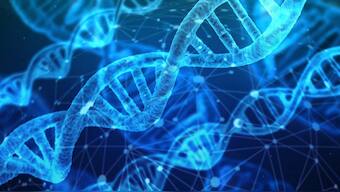 Genetic risk tests are widely available, they could be harmful and aren't always useful