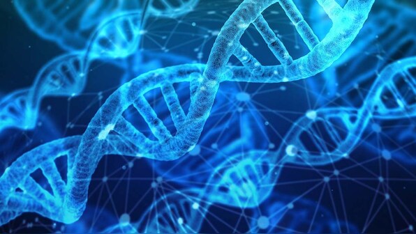 Genetic risk tests are widely available, they could be harmful and aren't always useful