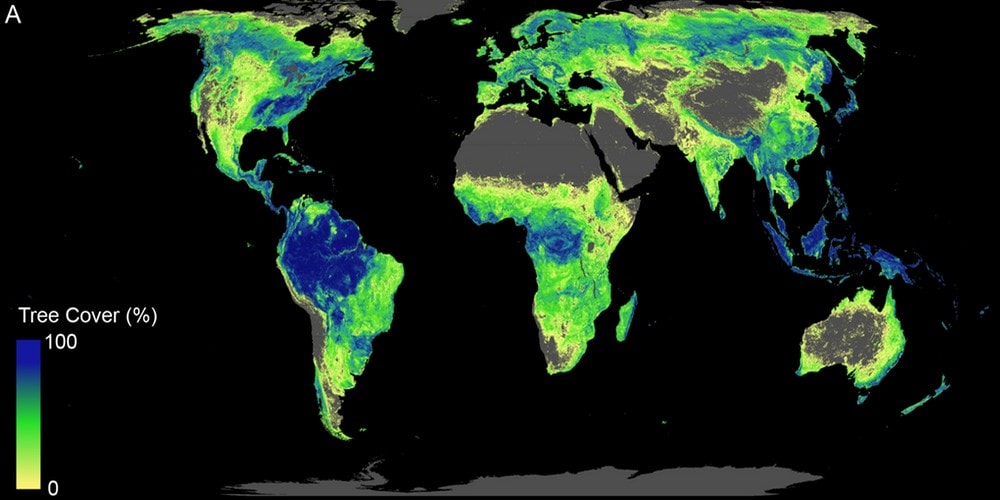 How all of that new forest would look, alongside what’s already there. Crowther Lab, Author provided
