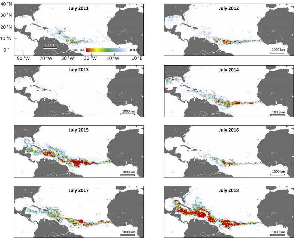 NASA’s satellite data (MODIS) confirms that the record-breaking seaweed belt forms in the summer months (northern hemisphere). 2015 and 2018 had the biggest of the massive blooms that started in 2011. Image Credit: USF College of Marine Science