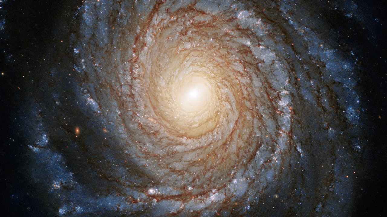 The shape and structure of this spiral galaxy is clearly visible through this perspective. Galaxy NGC 3147 galaxies are relatively close at a distance of approximately 130 million light-years, and can be found in the constellation Draco (dragon). loan image: Hubble telescope