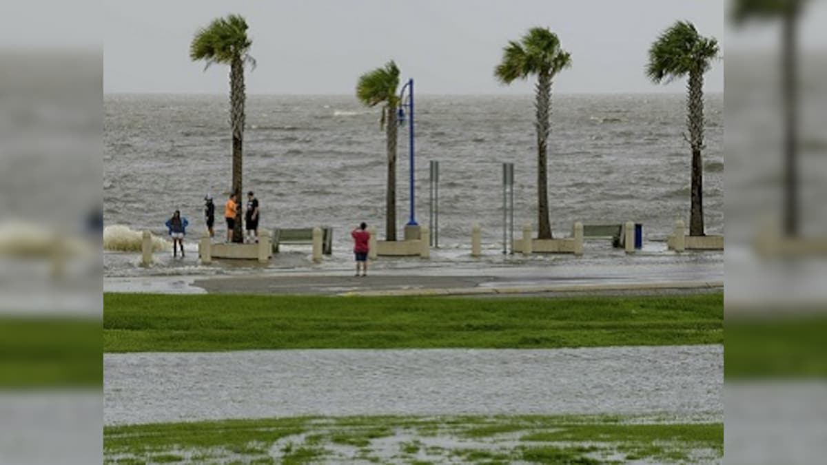 Hurricane Barry likely to affect environment of Mississippi Valley; scientists say damage to wildlife habitats, fisheries possible