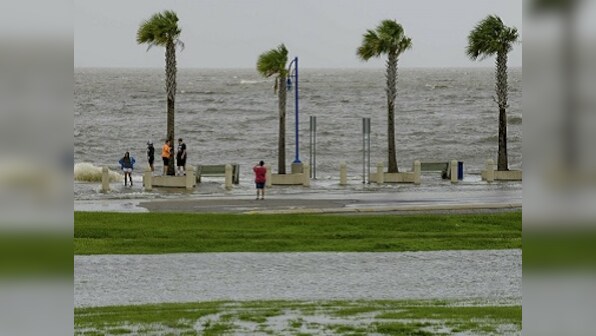 Hurricane Barry likely to affect environment of Mississippi Valley; scientists say damage to wildlife habitats, fisheries possible