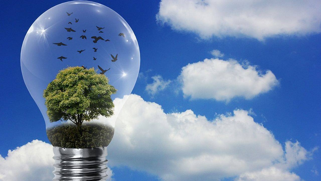 We should tell the kids to find ways to do both save the environment and develop it. Image credit: Pixabay 