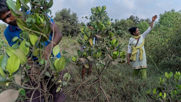 Fifty-six-year-old Seema Adgaonkar guards Mumbai’s defense against climate change