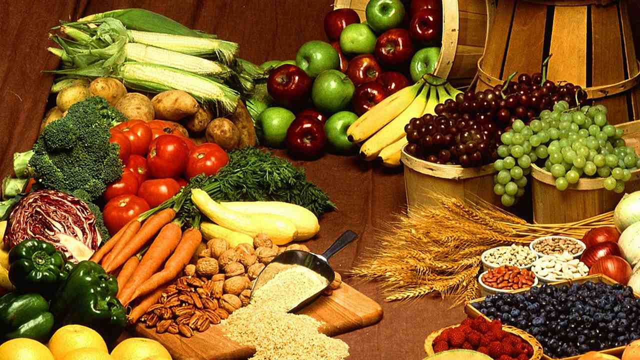 Eat less meat, protect forests are some ways people can deal with global heating Eat less meat, protect forests are some ways people can deal with global heating