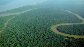 World Rainforest Day 2022: History, significance and all you need to know