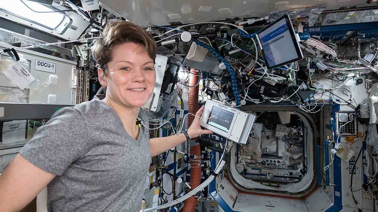 Astronaut Anne McClain aboard the ISS. Image credit: WIkipedia 