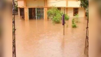 Woman killed in wall collapse after downpour in Odisha's Kalahandi; Met department predicts more spells of heavy rain in state