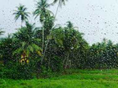 IMD issues heavy rainfall alert for Goa, Coastal Karnataka and Odisha, advises fishermen not to venture into sea IMD issues heavy rainfall alert for Goa, Coastal Karnataka and Odisha, advises fishermen not to venture into sea