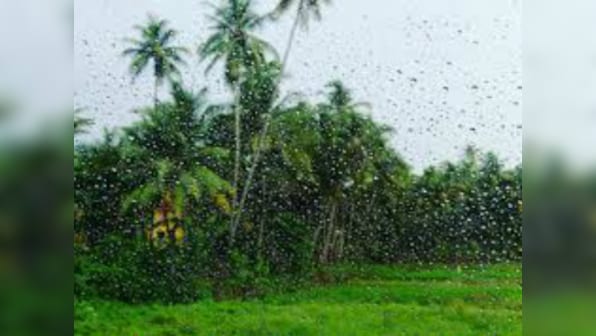 Rainfall subsides in flood-affected Odisha; train services remain affected for second day, informs railway official