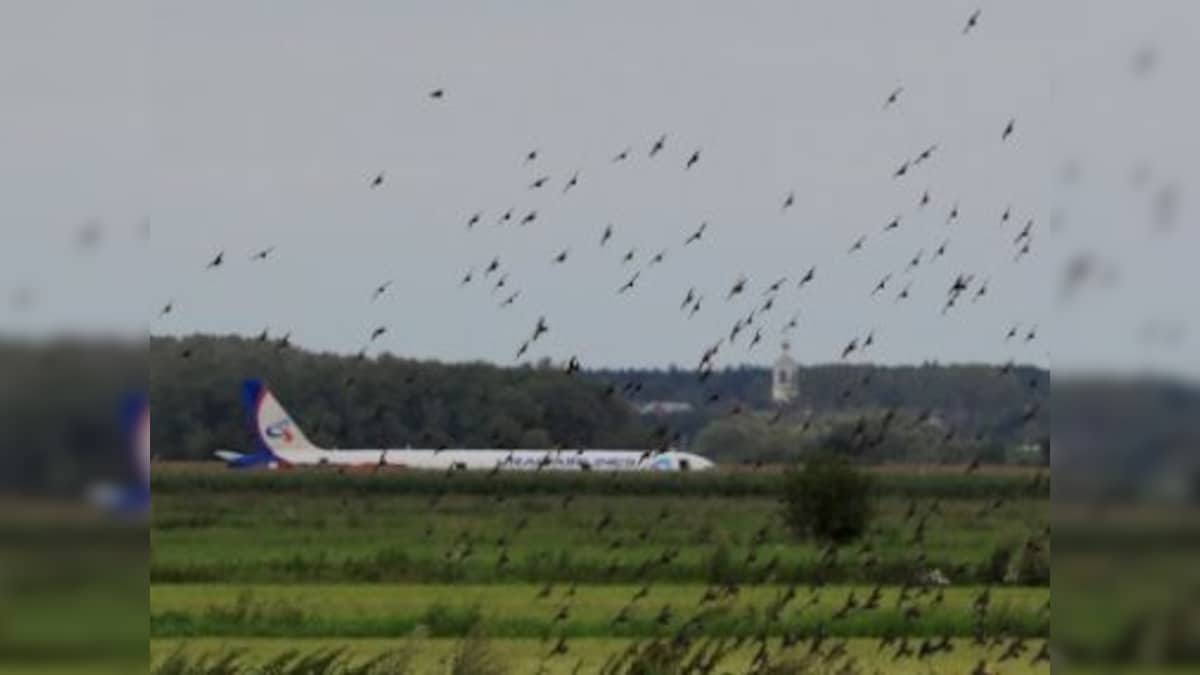 The ecological costs of airplane rides and how a small but growing trend is taking hold of the aviation industry