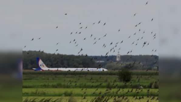 The ecological costs of airplane rides and how a small but growing trend is taking hold of the aviation industry