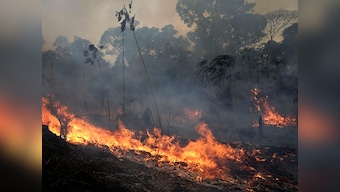 Brazil fires regional environmental head after he made public comments on illegal mining in areas affected by forest fires