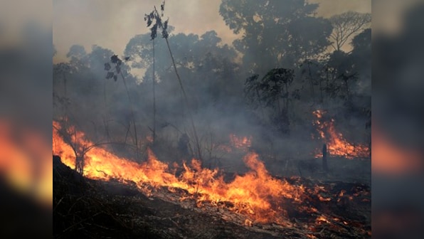 Brazil fires regional environmental head after he made public comments on illegal mining in areas affected by forest fires