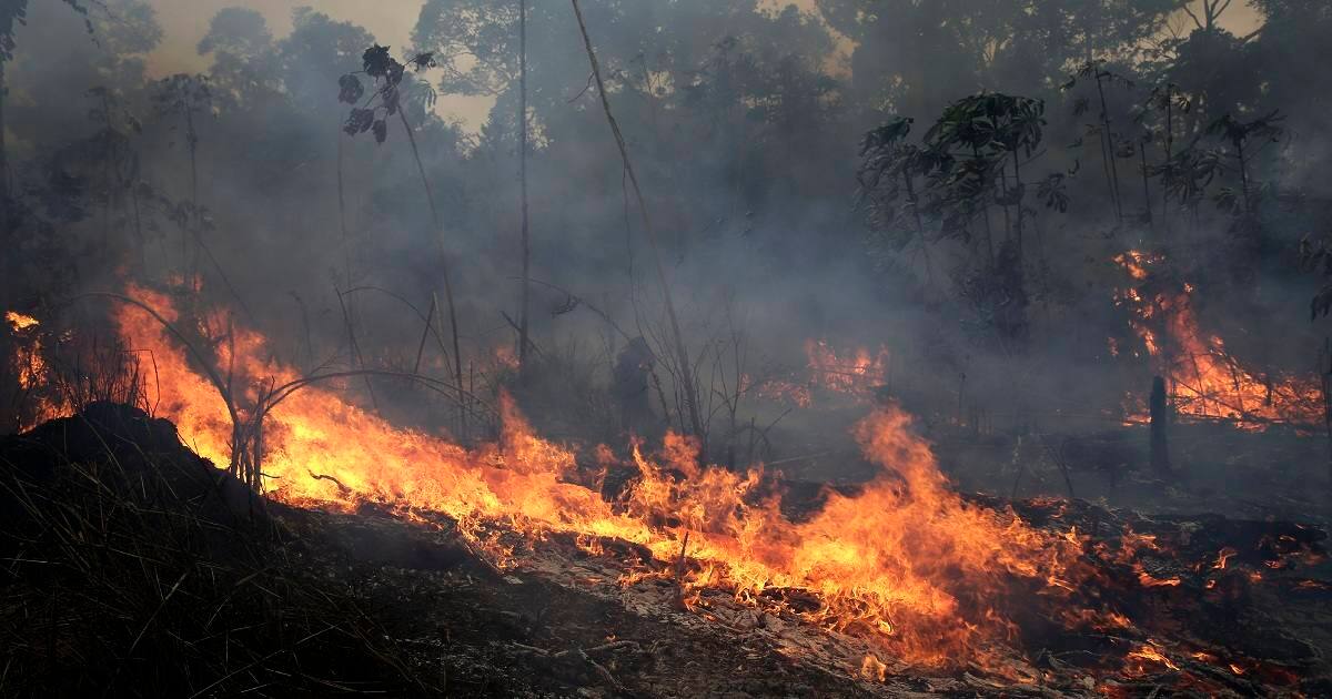 Leaders of Amazon countries to meet on 6 September to decide