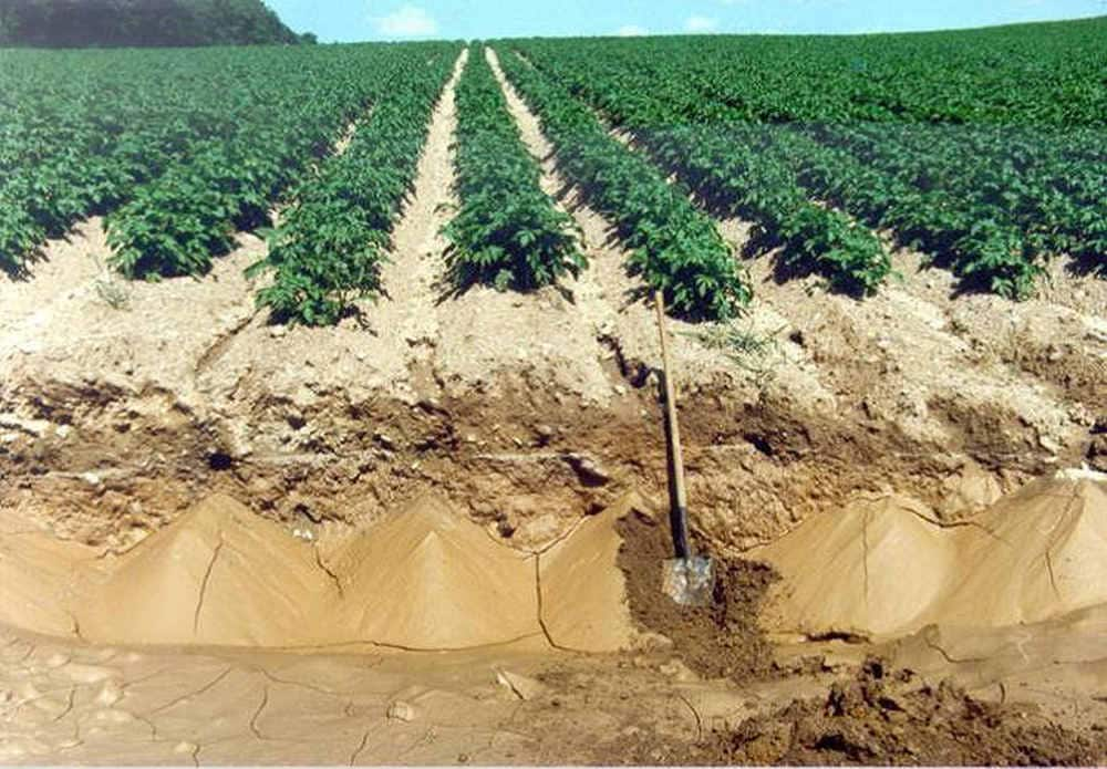 What Are The 3 Types Of Soil Degradation