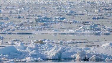 Svalbard archipelago in the Arctic region hits a new record high temperature of 21.7 degrees Celsius
