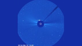 Watch as a comet makes a suicidal plunge into the sun in a stunning display of cosmic fireworks