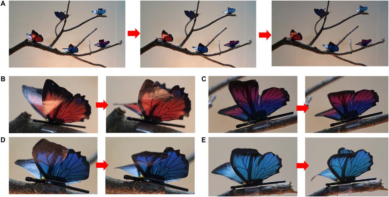 A kinetic art demonstration of dancing butterflies on a tree using the artificial muscle material. Image: ScienceMag