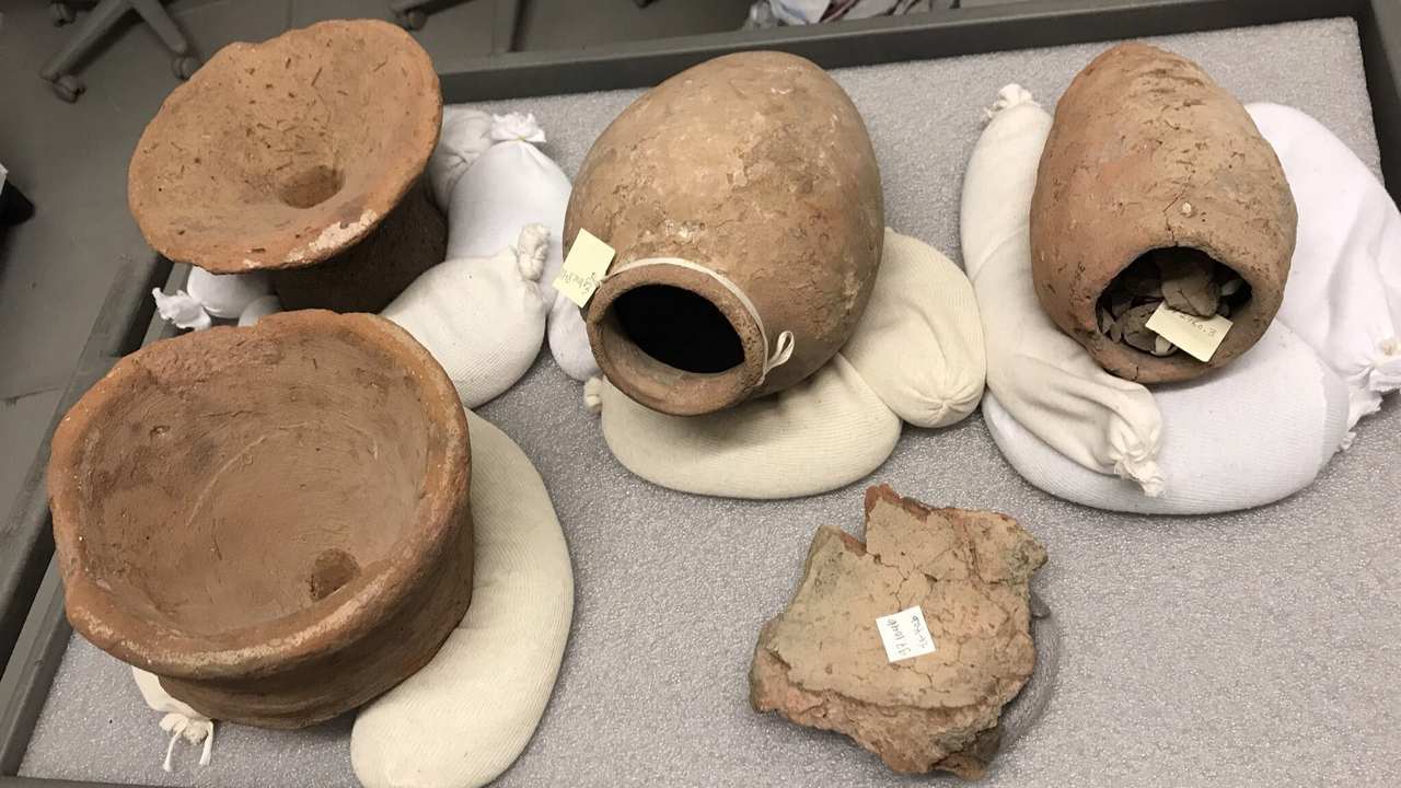 The ancient pots from where they extracted the yeast samples. Image credit: Twitter/ Seamus Balckley