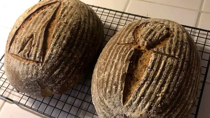 Researcher bakes 'delicious' Egyptian sourdough bread with 4,500-year-old yeast strain
