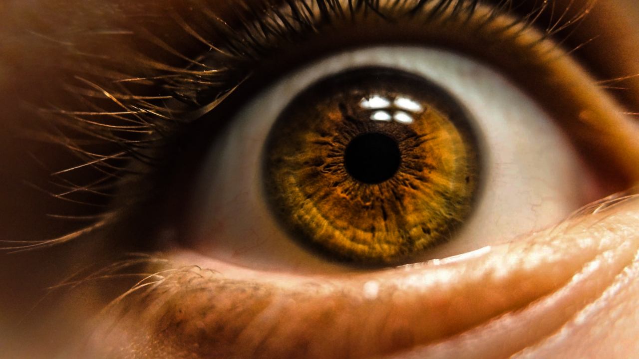 New kind of cell in the eye that perceives brightness discovered by researchers New kind of cell in the eye that perceives brightness discovered by researchers