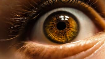 New kind of cell in the eye that perceives brightness discovered by researchers