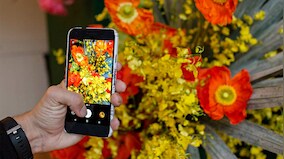 Google to pay Pixel, Pixel XL owners up to $500 if their phone had mic or speaker issues