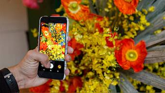 Google to pay Pixel, Pixel XL owners up to $500 if their phone had mic or speaker issues