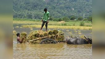 One dead in Karnataka as flood situation worsens; Belagavi worst affected after water from Maharashtra's Koyna dam gushes into Krishna river
