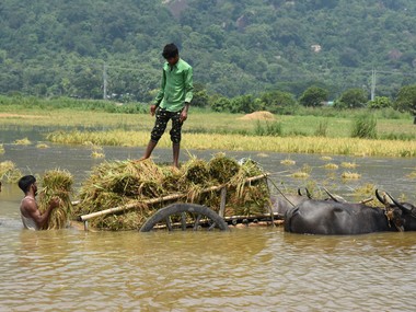 One dead in Karnataka as flood situation worsens; Belagavi worst affected after water from Maharashtra's Koyna dam gushes into Krishna river One dead in Karnataka as flood situation worsens; Belagavi worst affected after water from Maharashtra's Koyna dam gushes into Krishna river