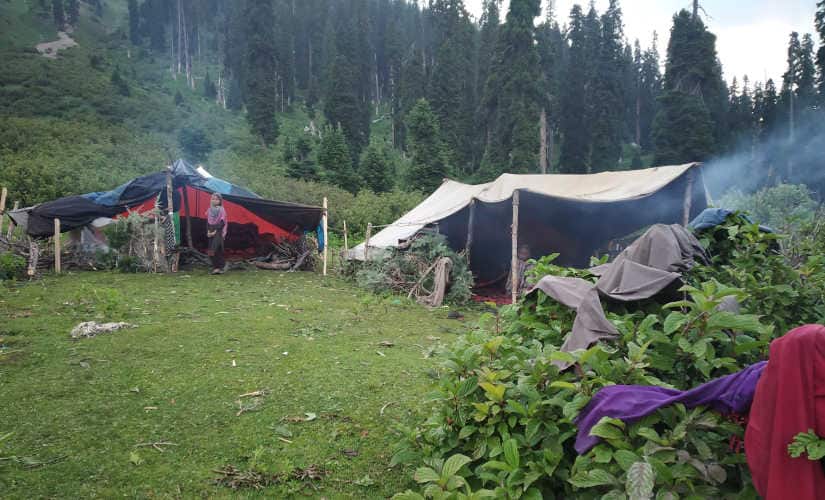 Makeshift tents of a Bakarwal community. Image courtesy: Ishtiaq Ahmed Shauq