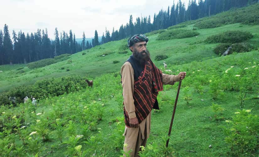 Mohammad Sadiq, whose right ear was amputated after a bear attack last year. Image courtesy: Ishtiaq Ahmed Shauq