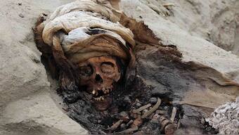 227 Chimu children's skeletons found in Peru, evidence points to ritual killing