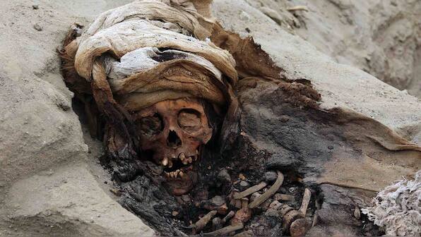 227 Chimu children's skeletons found in Peru, evidence points to ritual killing