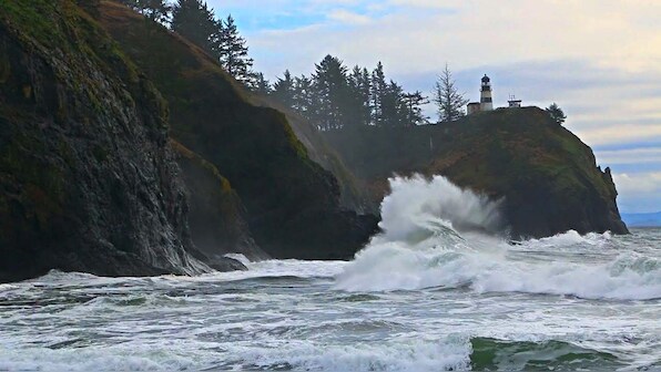 IITM, NIOT develop turbines to harness power for waves hitting India's 7,500-km coastline