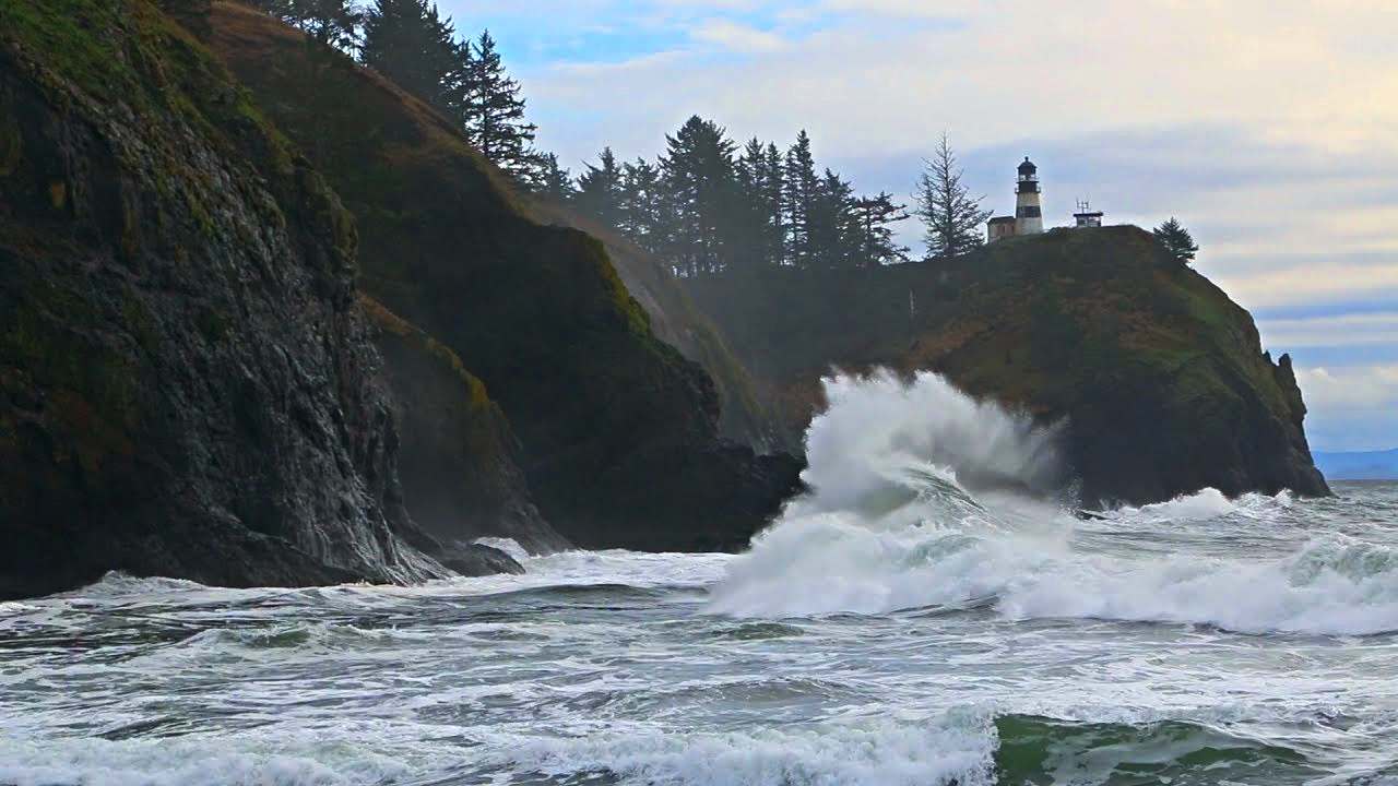 IITM, NIOT develop turbines to harness power for waves hitting India's 7,500-km coastline IITM, NIOT develop turbines to harness power for waves hitting India's 7,500-km coastline