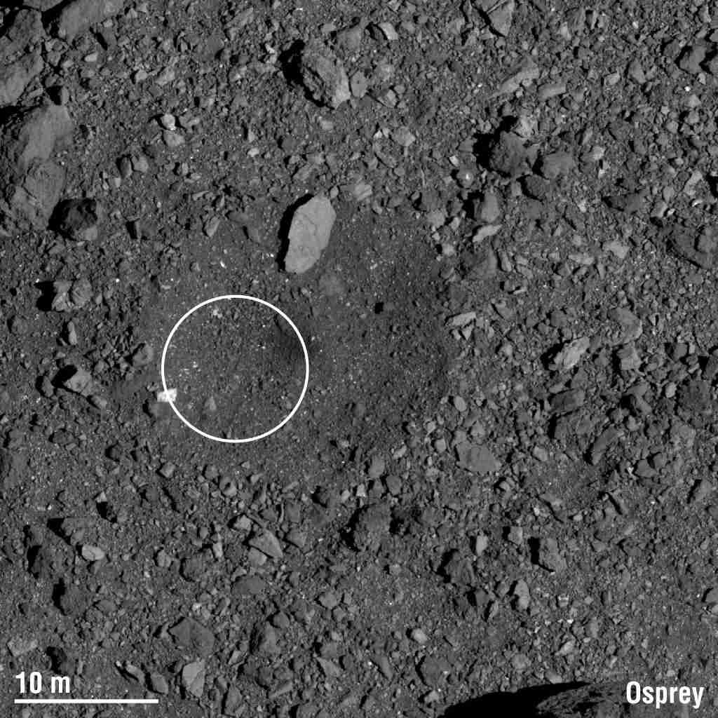 Candidate 3: Osprey. Image: NASA
