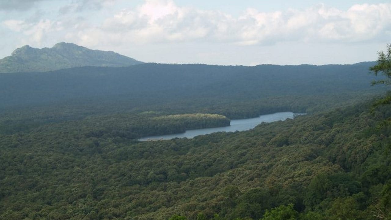 A panoramic view of the Parambikulam Tiger Reserve in Kerala. Image credit: S. Gopikrishna Warrier/Mongabay.