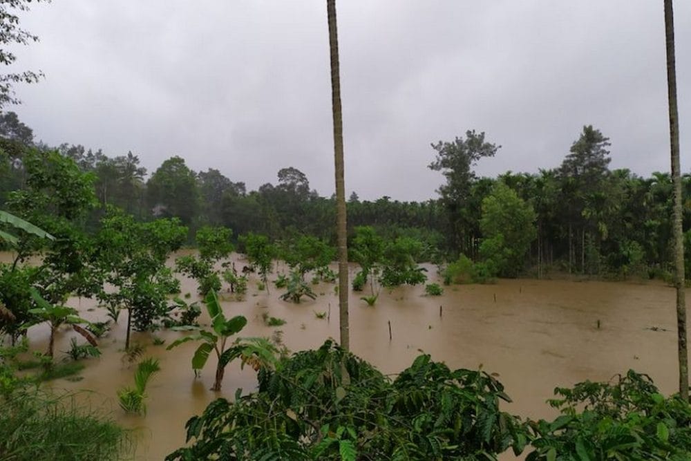 A flooded plantation in Khandya. Image credit: Mrunmayee.