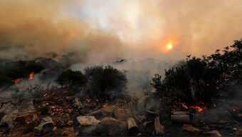 After Amazon's fires, Africa's rainforests are burning too, but for different reasons