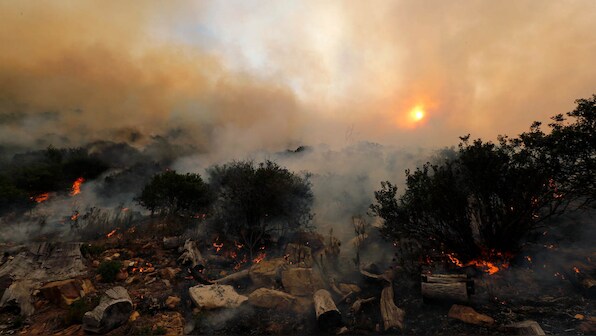 After Amazon's fires, Africa's rainforests are burning too, but for different reasons