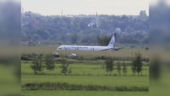 Russian pilot makes emergency landing in cornfield after bird hits flight; hailed as hero by citizens, passengers
