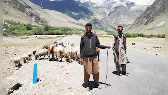 Adivasis and the Indian State: Facing govt apathy and discrimination, Kashmir's Gujjar Bakarwal tribe struggles to preserve nomadic way of life
