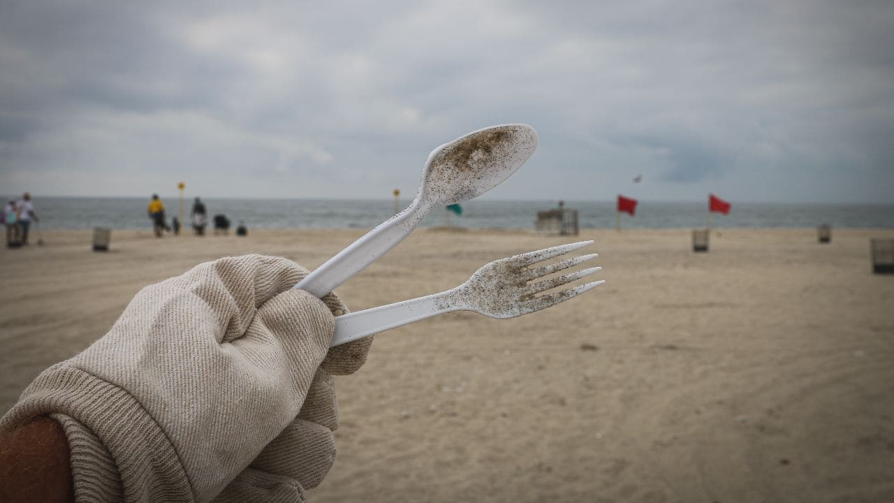 Will anything replace the convenience and cost of cheap plastic foodware?