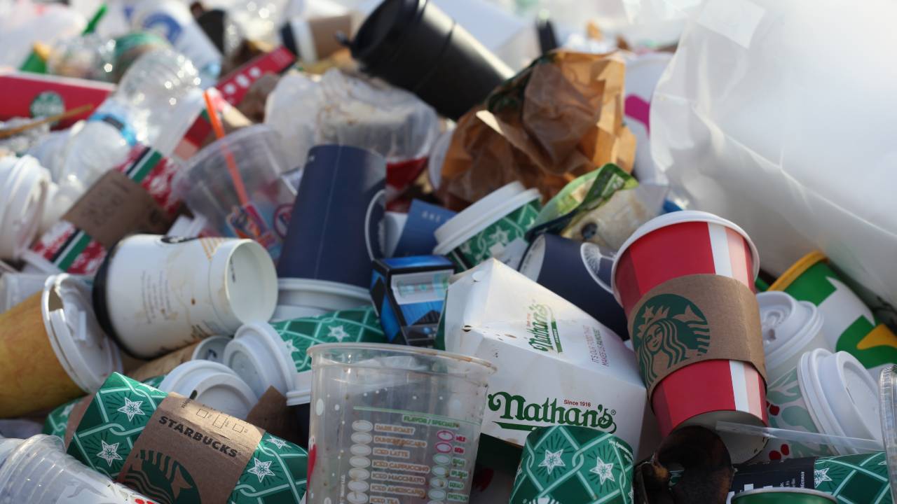 India to outlaw six categories of single-use plastic products on 2 October India to outlaw six categories of single-use plastic products on 2 October