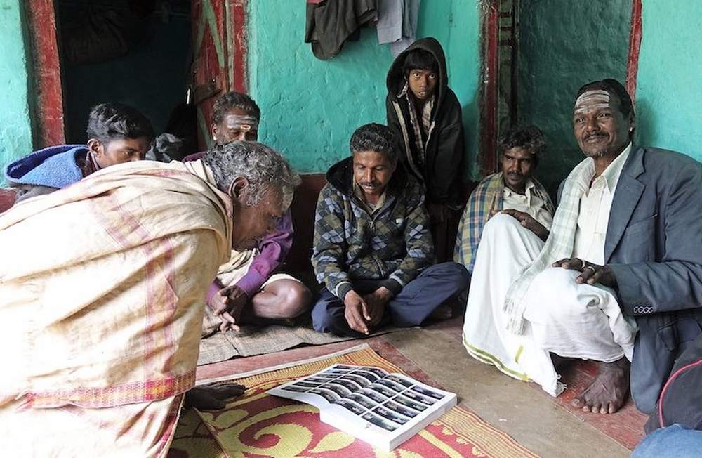 Soliga tribals in the Biligiri Rangaswamy Temple Tiger Reserve reading a copy of the 2014 National Tiger Estimation Report. Image credit: Nitin Rai.