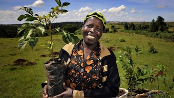 Rapid deforestation, meat production driving climate crisis, says IPCC in UN report on land use