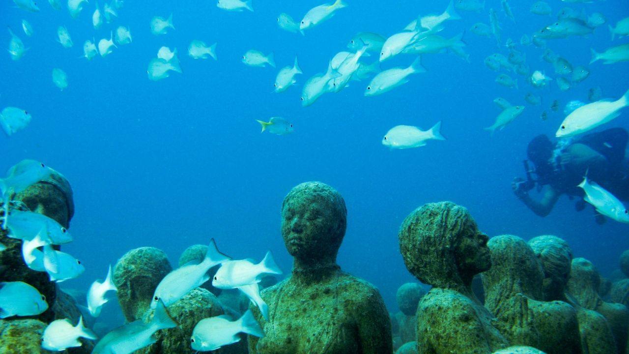 Several living organisms are neither animals nor plants, defy